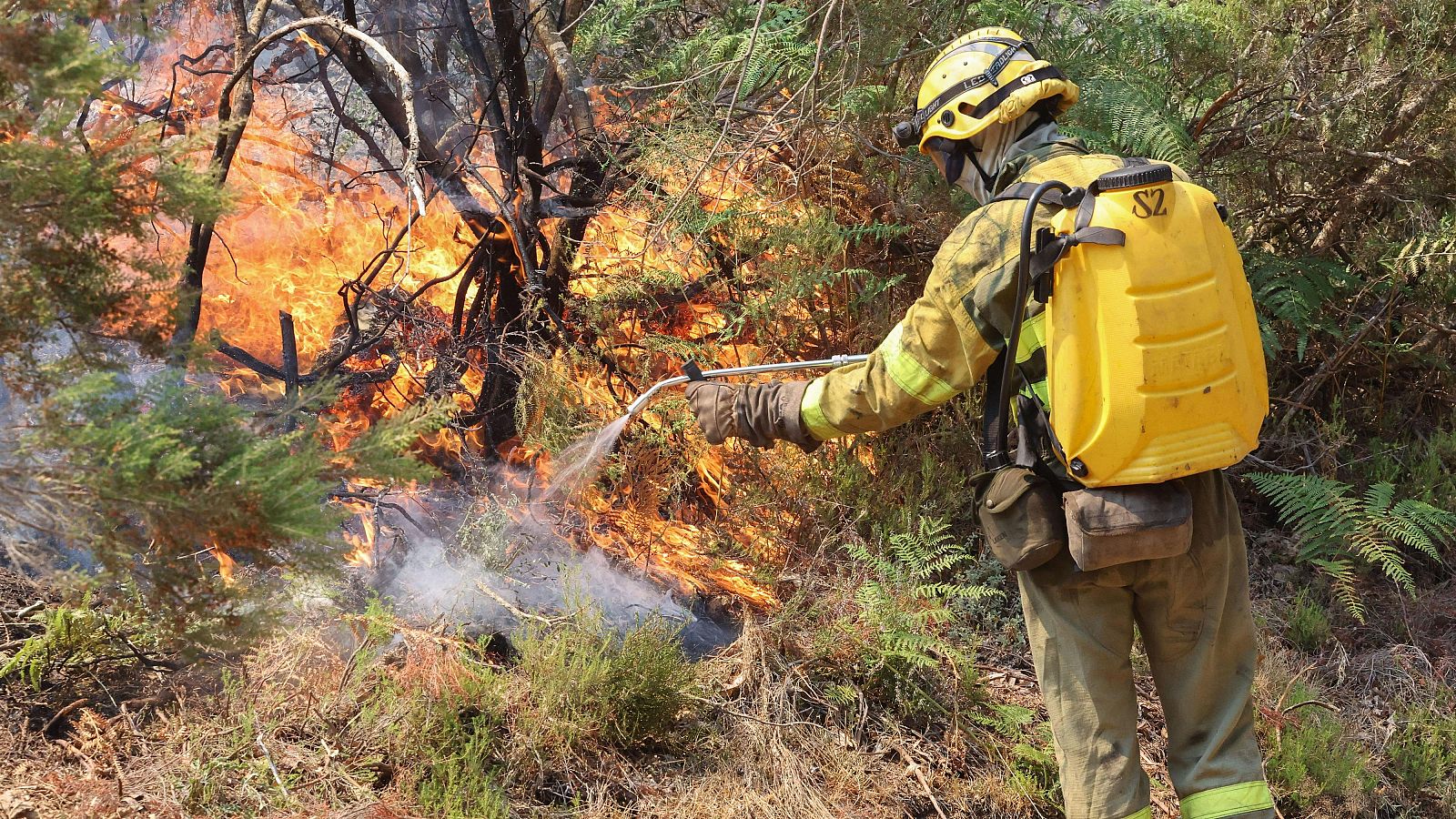 El incendio forestal que se inició el martes por la noche en las proximidades de La Alberca se ha vuelto a reactivar con fuerza este jueves y la Junta ha declarado el nivel IGR-2.