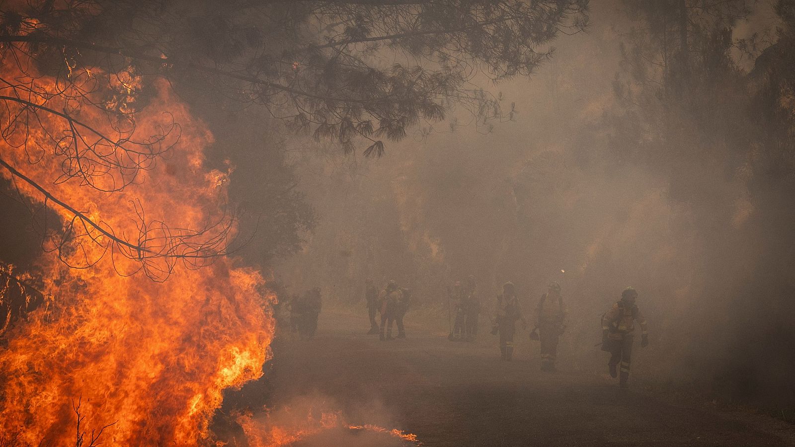 Labores de extinción del incendio de Larouco, Ourense