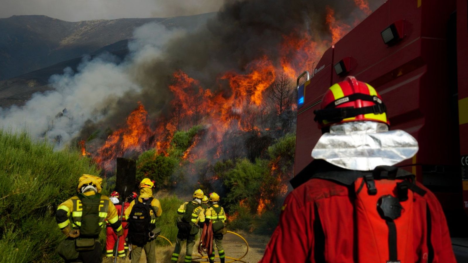 Efectivos de la UME en el incendio de Jarilla (Cáceres)