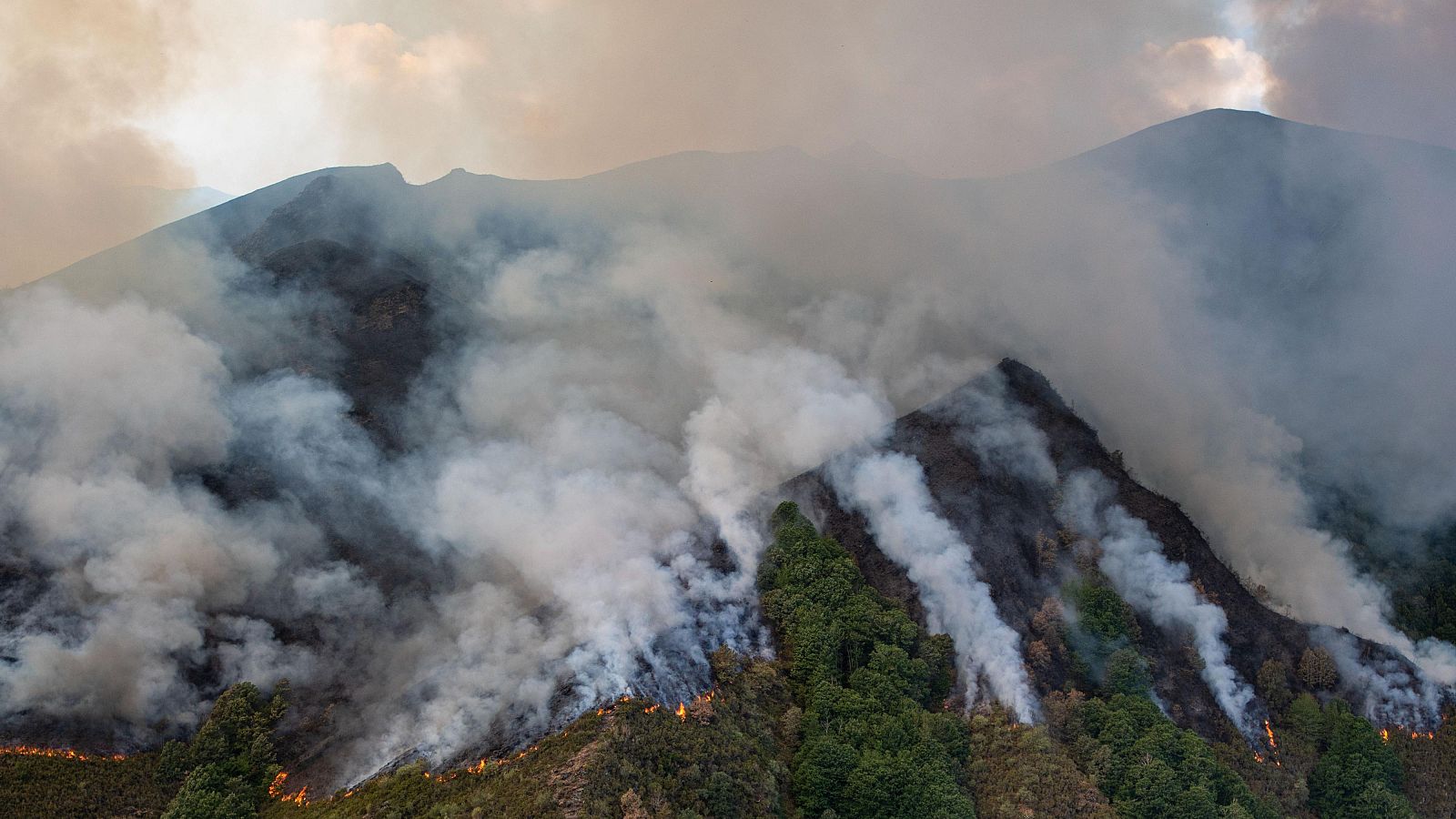 El fuego del incendio avanza por la montaña en la localidad de Villarubín, a 19 de agosto de 2025, en Villarrubín, León, Castilla y León (España).