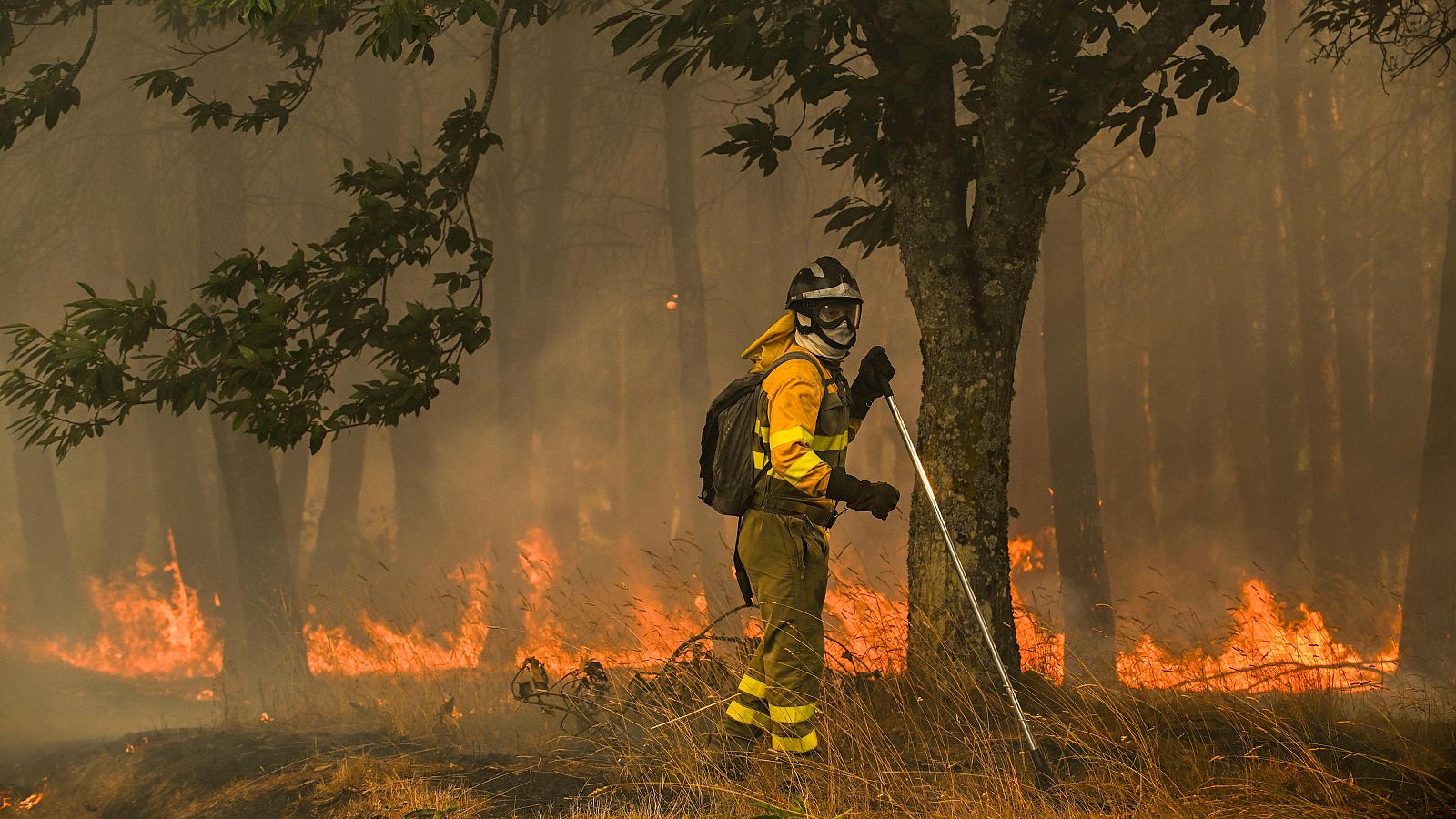 Un bombero forestal realiza labores de extinción en el nuevo incendio declarado este miércoles en A Gudiña (Ourense).