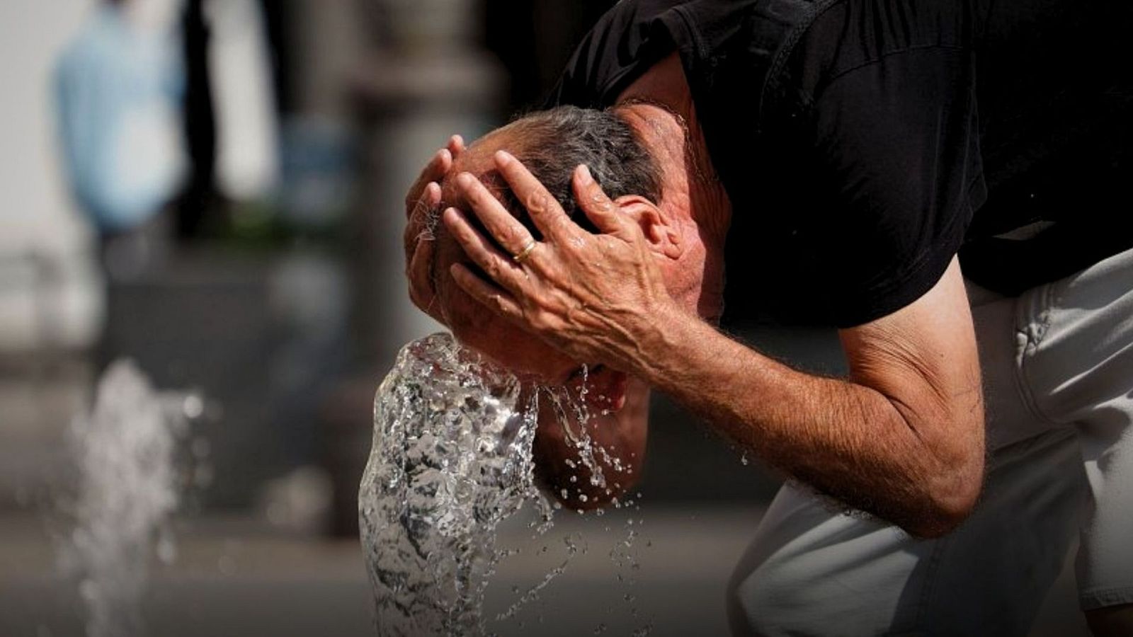 El récord de temperaturas en agosto ha puesto en jaque a bosques y ciudades