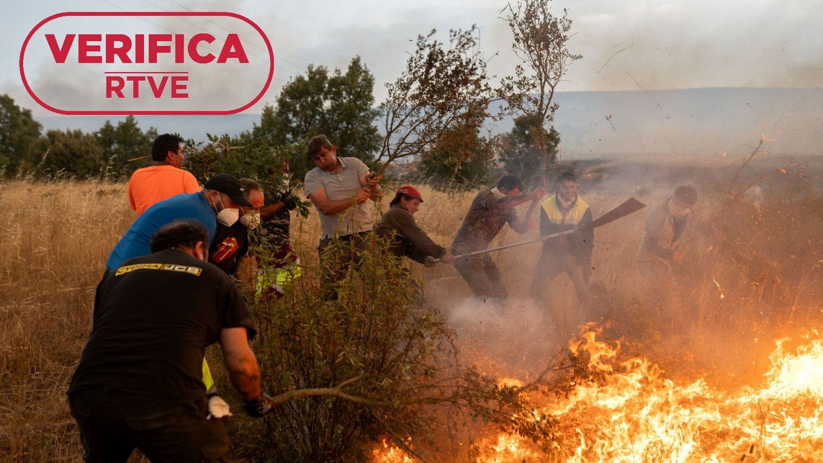 España contra el fuego: cuánto se invierte en prevenir y apagar los incendios forestales