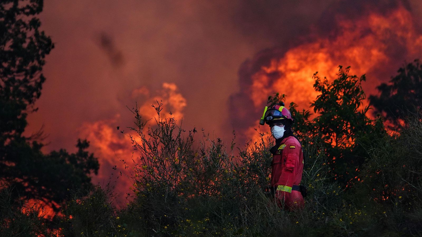 Bombero con equipo de protección combatiendo un incendio forestal activo, entre vegetación en llamas y una gran columna de humo.