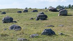 La agricultura llegó a Escandinavia mil años después que al resto de Europa