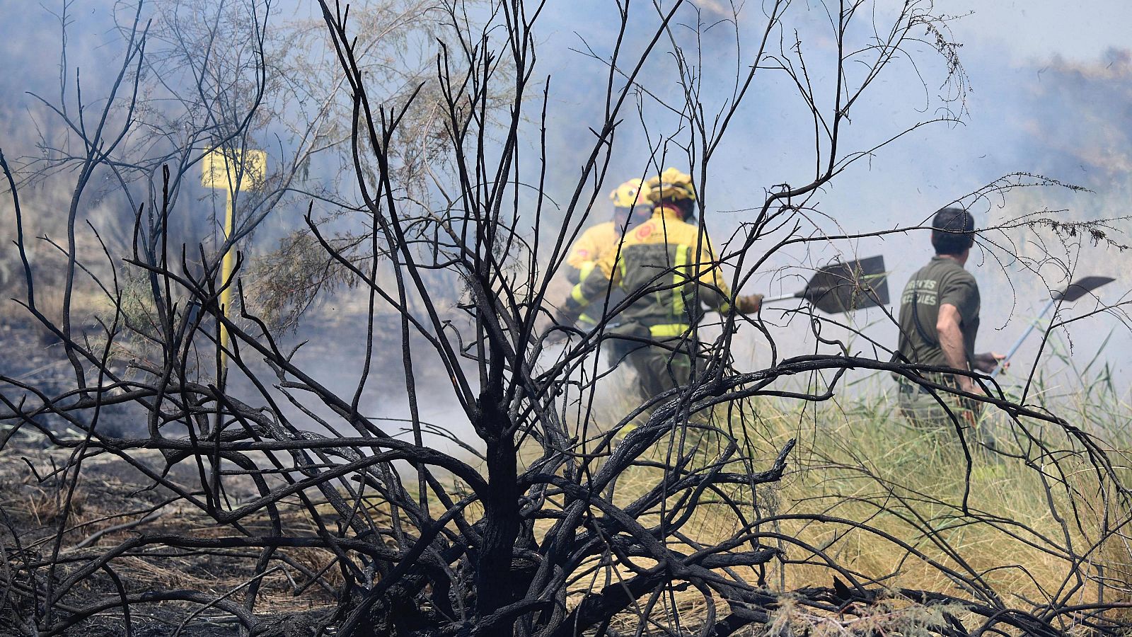 Las Brigadas Forestales de la Comunidad de Madrid retoman la huelga este lunes