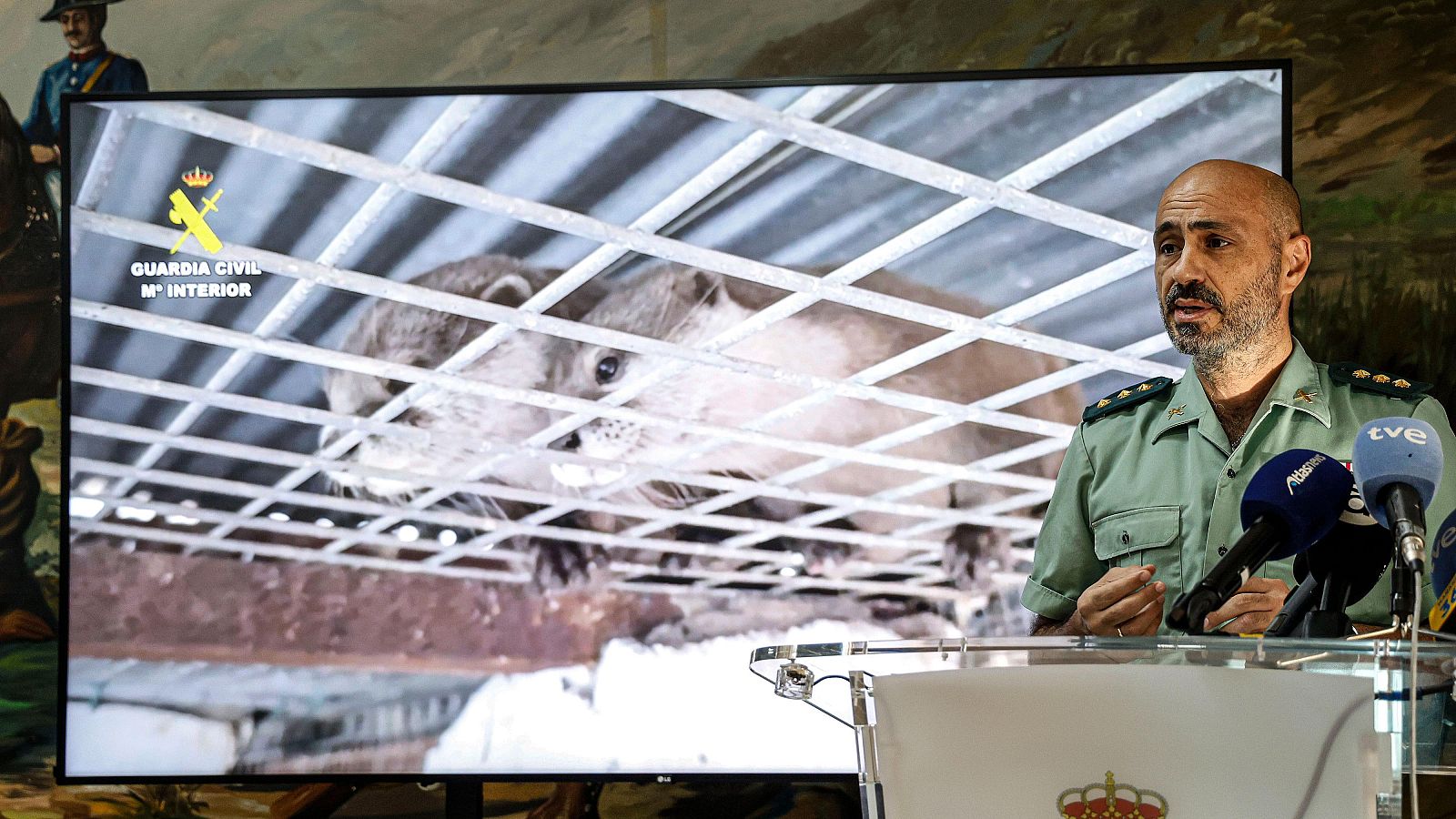 Desmantelado un zoo privado clandestino con  más de 150 animales exóticos en Nules (Castellón)