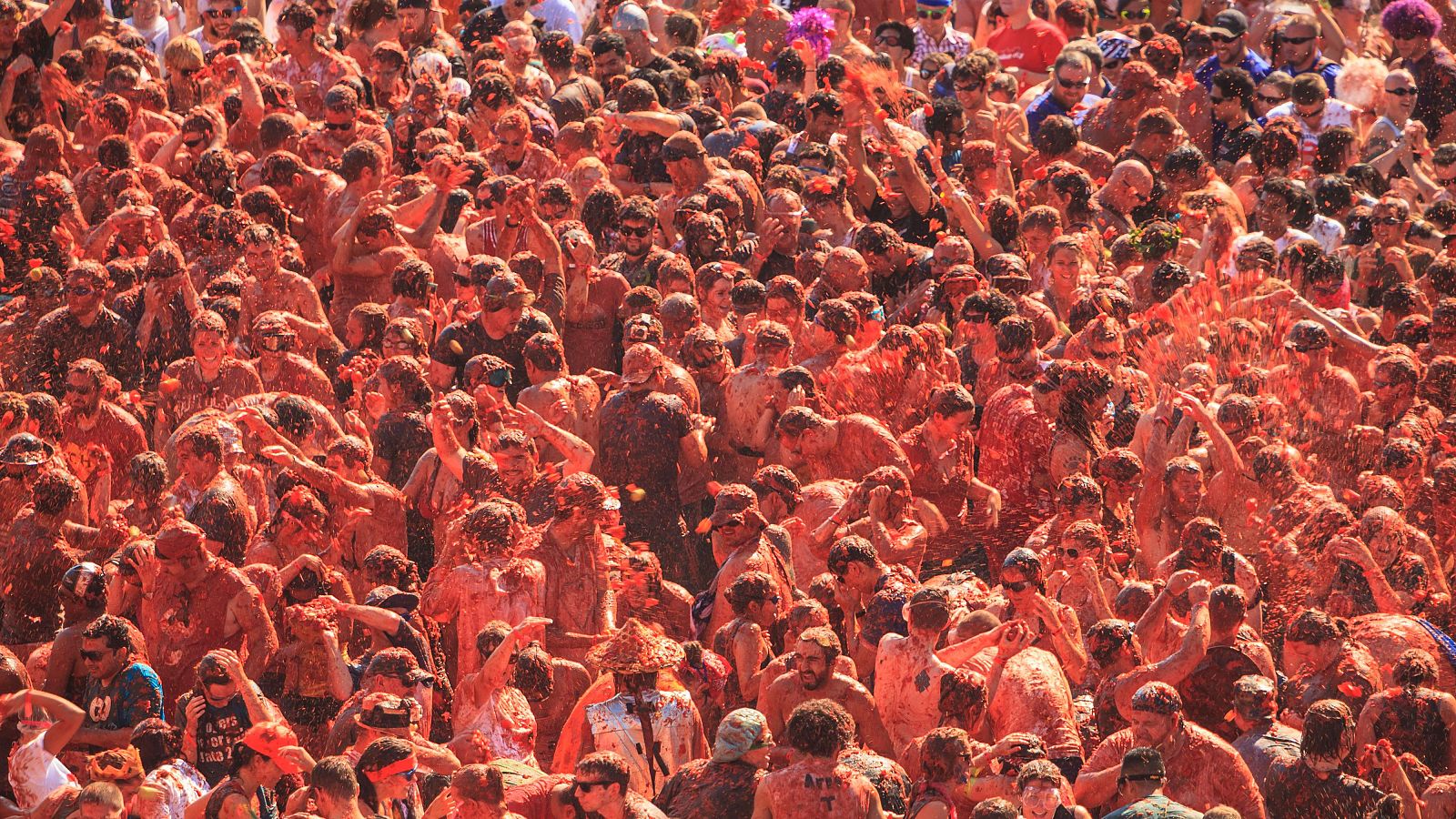Hora y dónde ver en TV la Tomatina 2025 de Buñol, la batalla de tomates de interés internacional