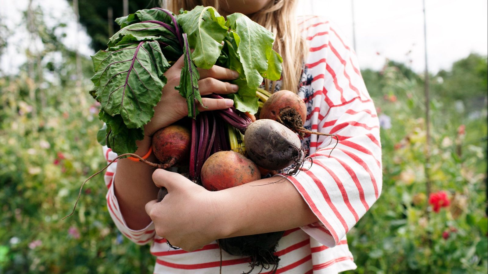 De jardín vecinal a refugio climático: así funcionan los huertos comunitarios
