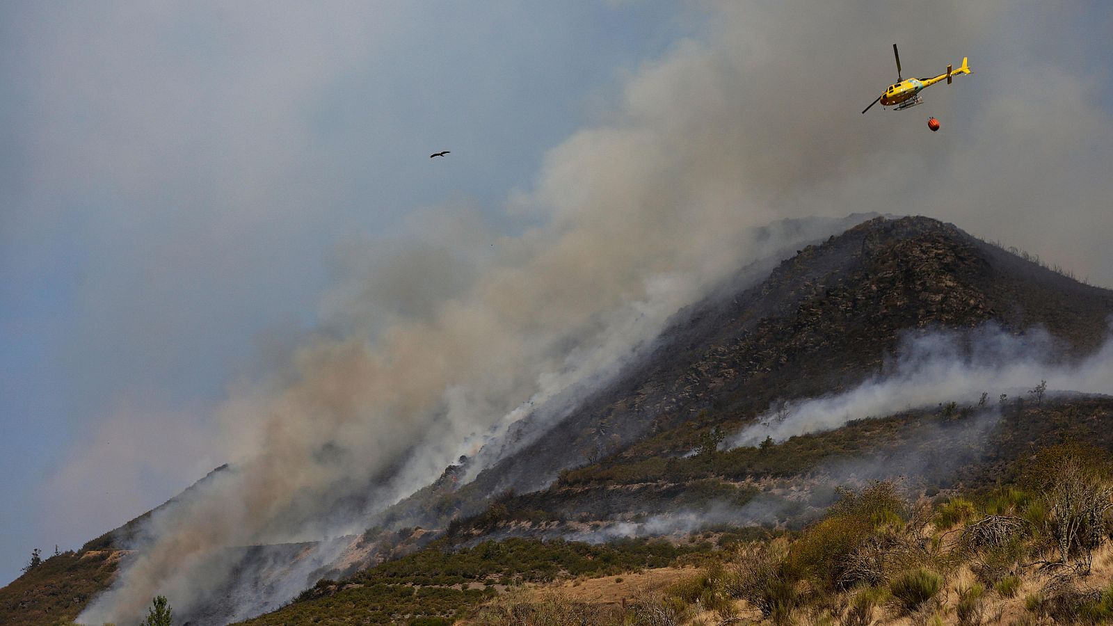 Efectivos trabajan en el incendio Fasgar, visto desde Tremor de Arriba, a 28 de agosto de 2025