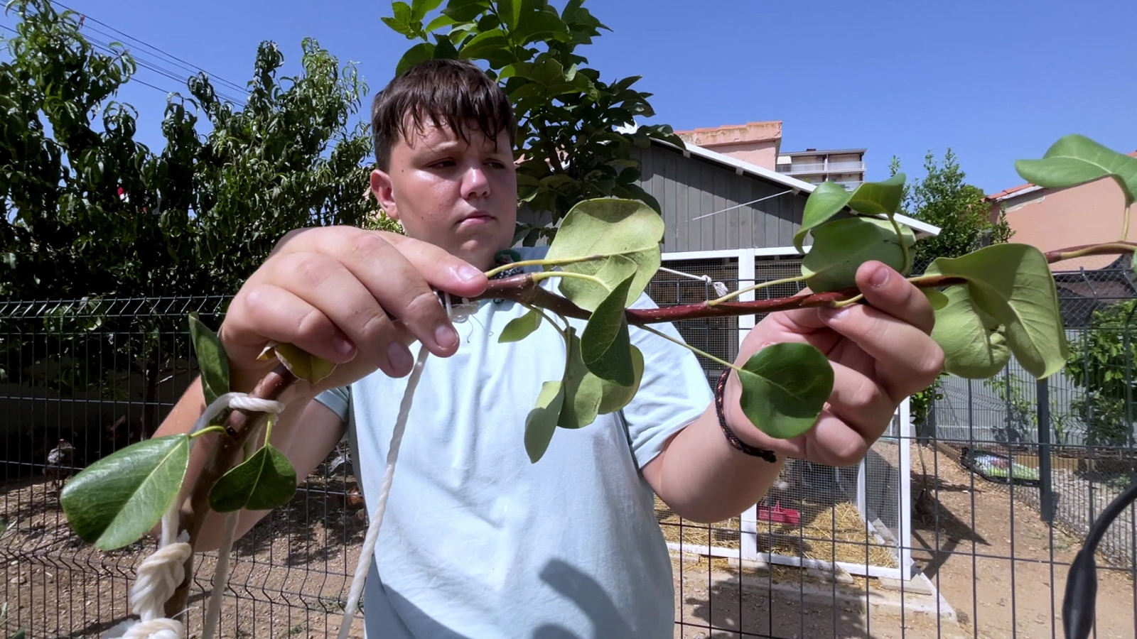 Quan sigui gran, vull ser pagès!