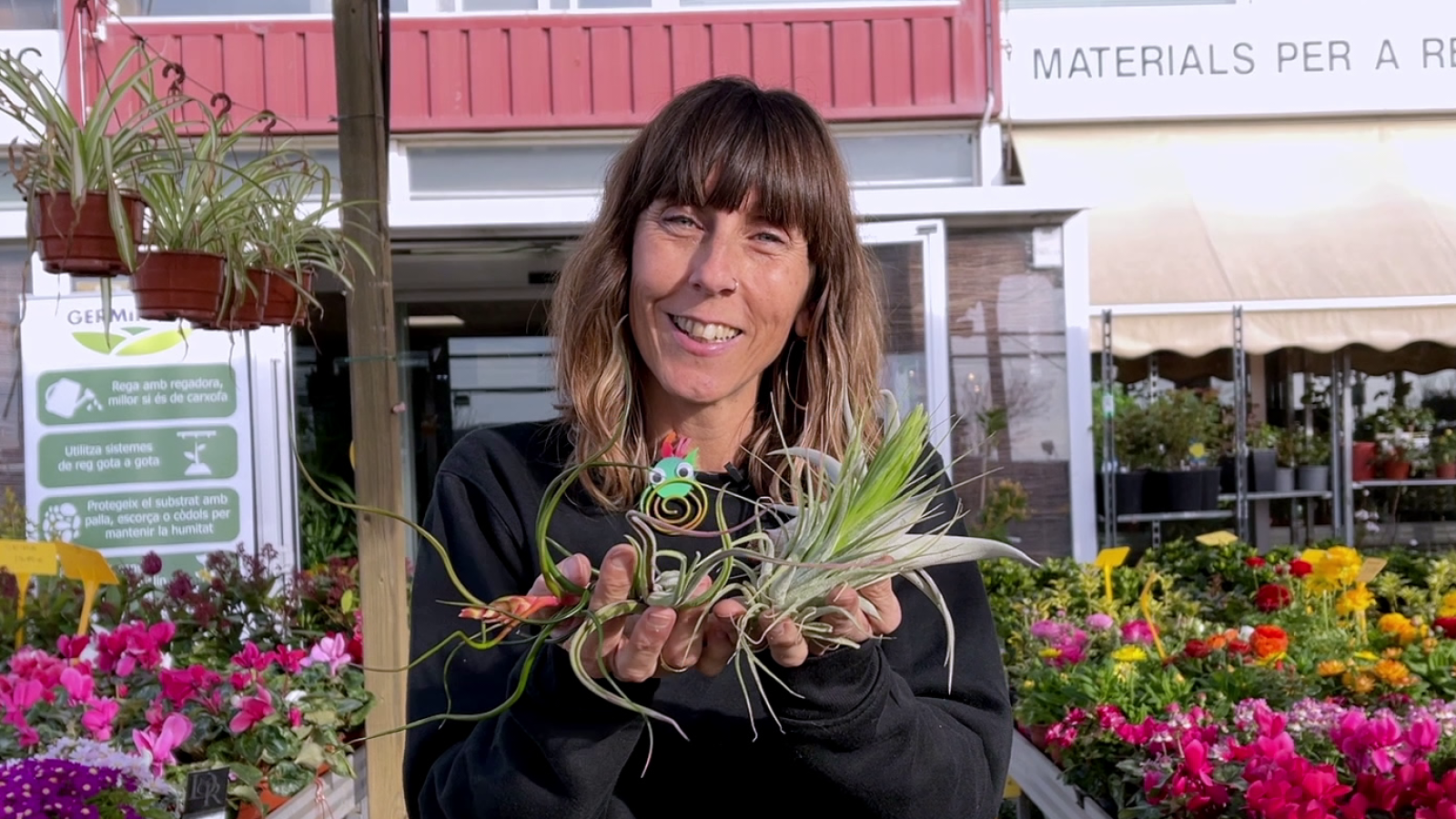 Aquestes són algunes de les plantes més rares del món