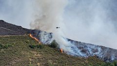 Sequía flash: el fenómeno que podría estar tras la severidad de la ola de incendios