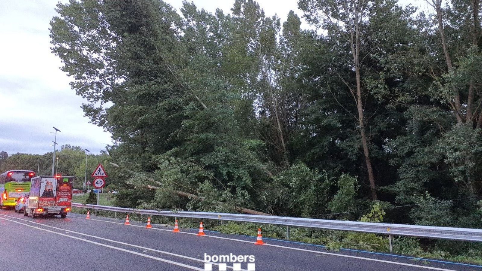 Arbres caiguts al costat d'una carretera a Vidreres (Selva) per les tempestes. | Bombers de la Generalitat