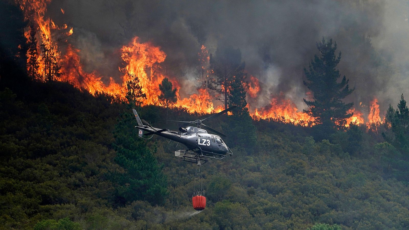 El mes de agosto cerró con un 460% más de superficie quemada de lo previsto para la fecha.