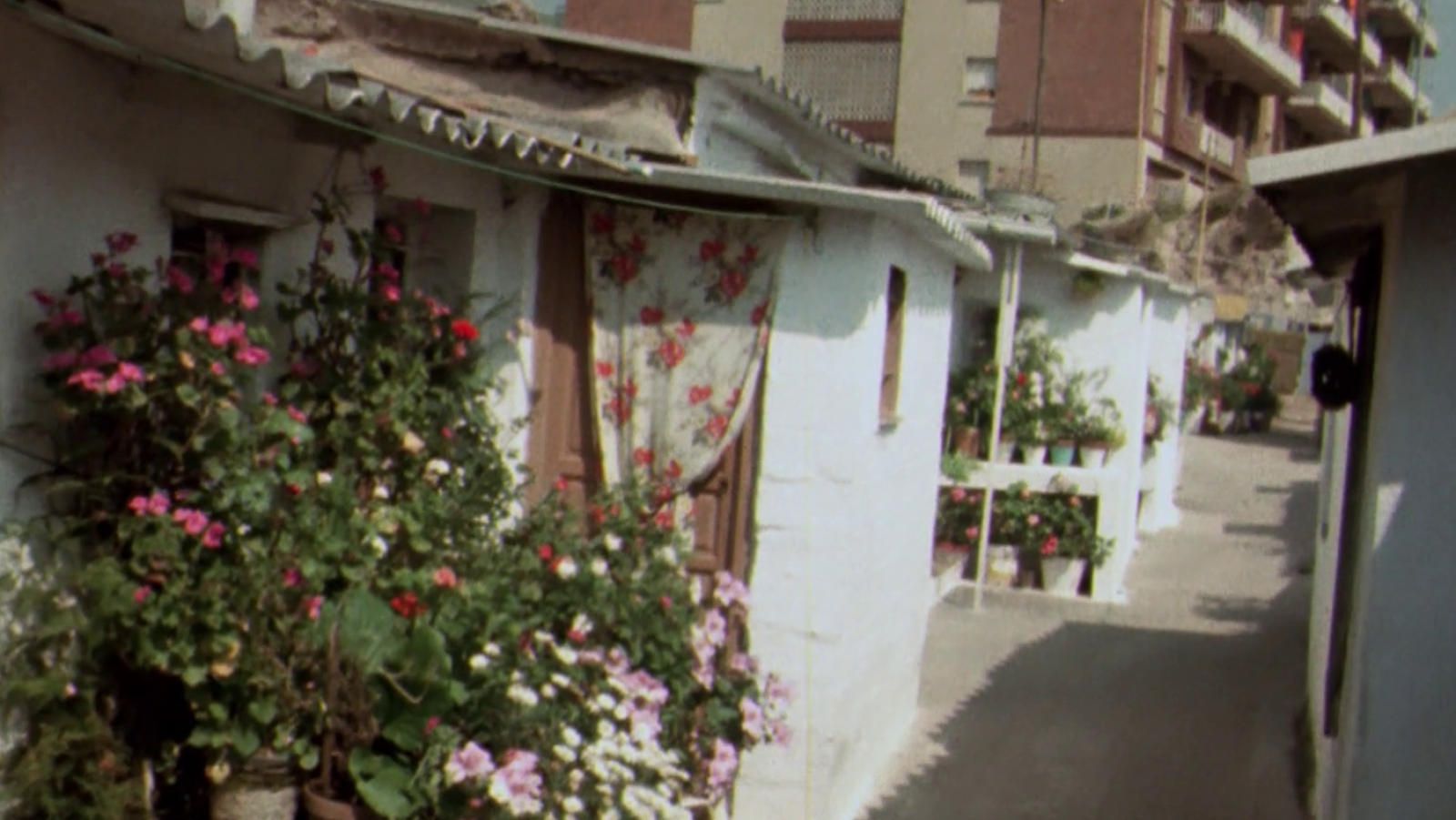 El barraquisme a Barcelona: el paisatge de la immigració del segle XX