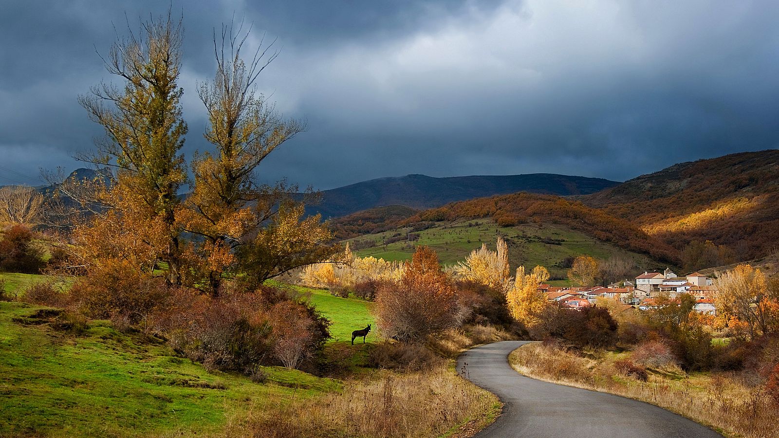 El otoño será cálido y poco lluvioso.