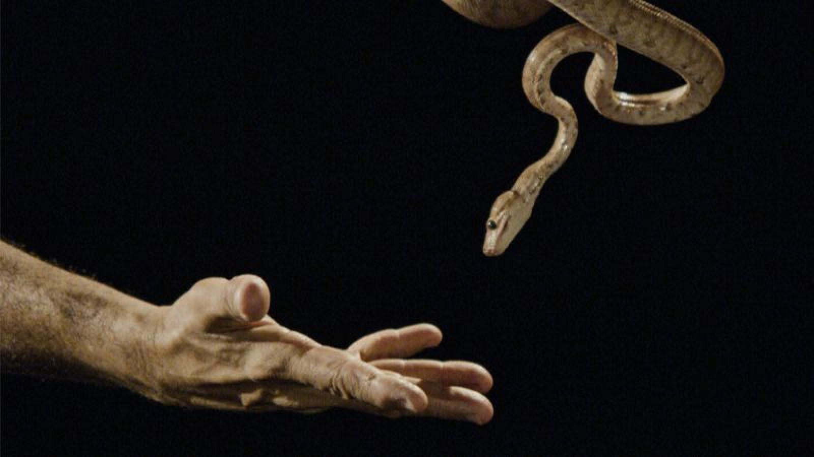 ‘Metrópolis’ estrena nueva temporada en La 2 con un homenaje a Robert Wilson