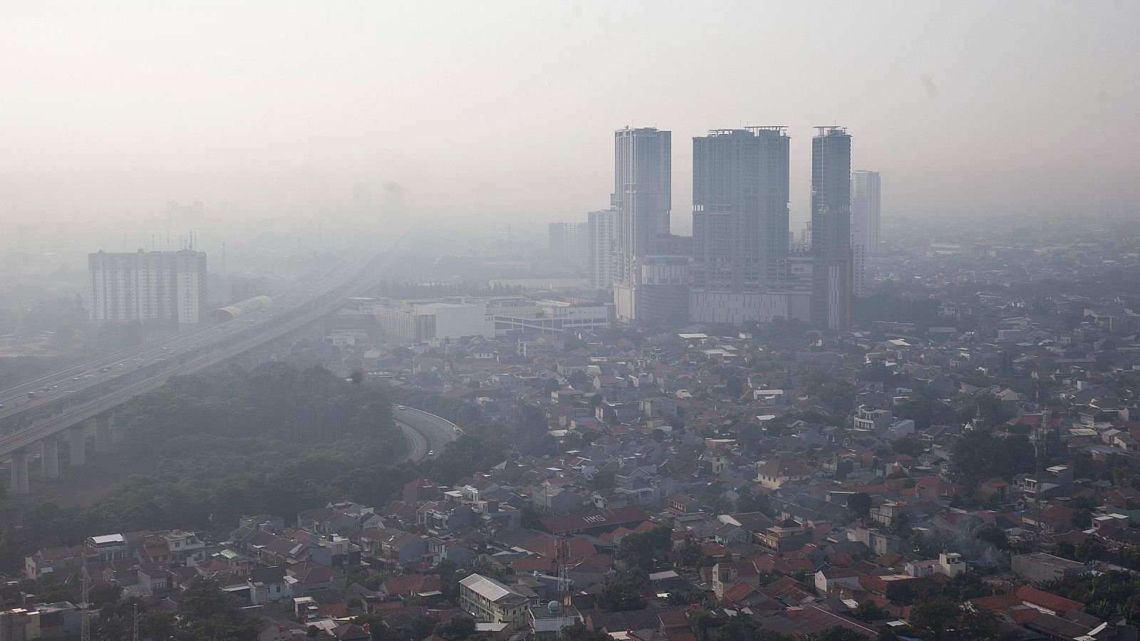 La exposición prolongada a la contaminación puede producir demencia
