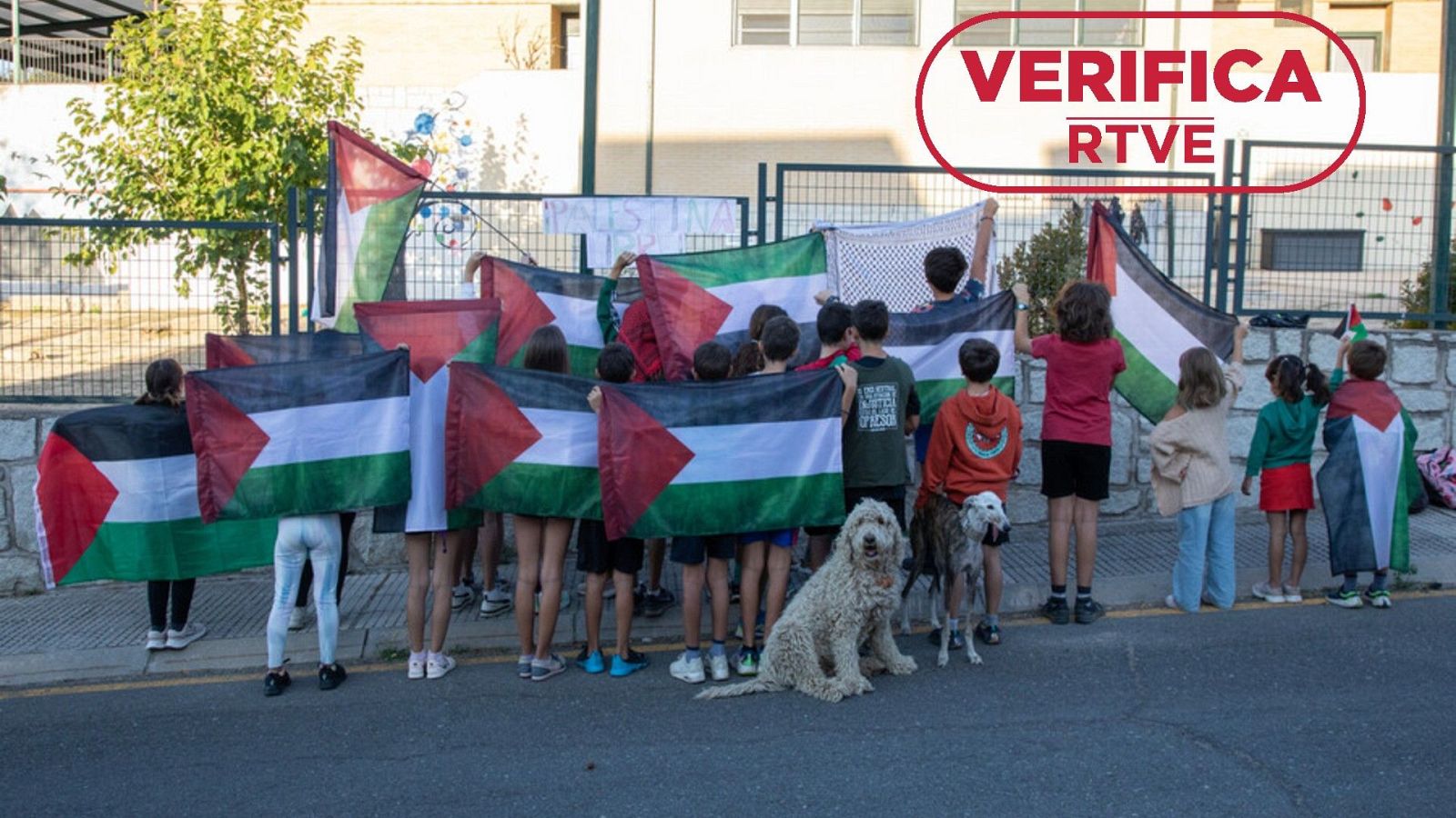 Banderas palestinas en colegios de Madrid: ¿se han prohibido?