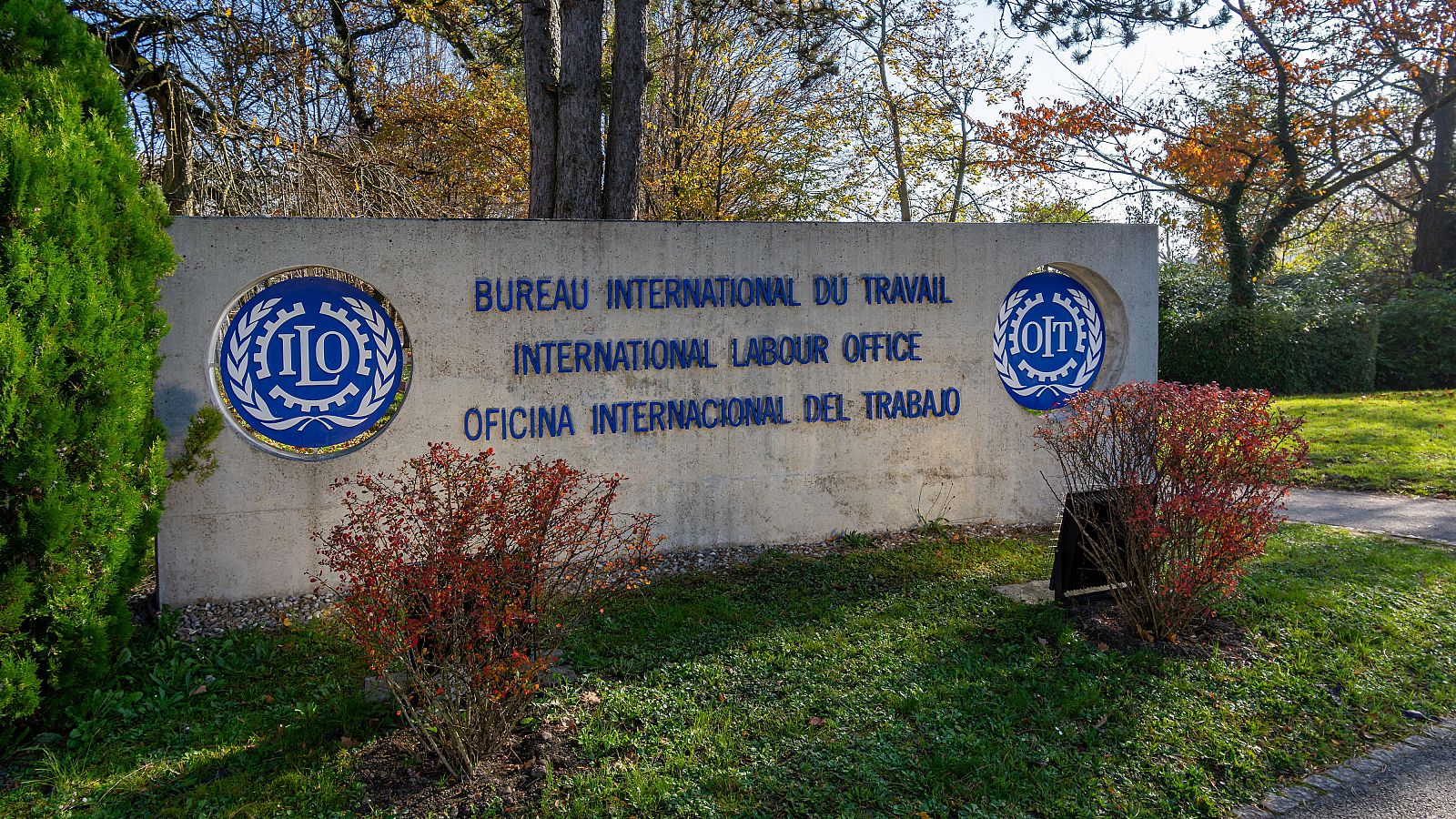 Un informe de la Organización Internacional del Trabajo concluye que el mundo es "más próspero, sano y mejor educado"