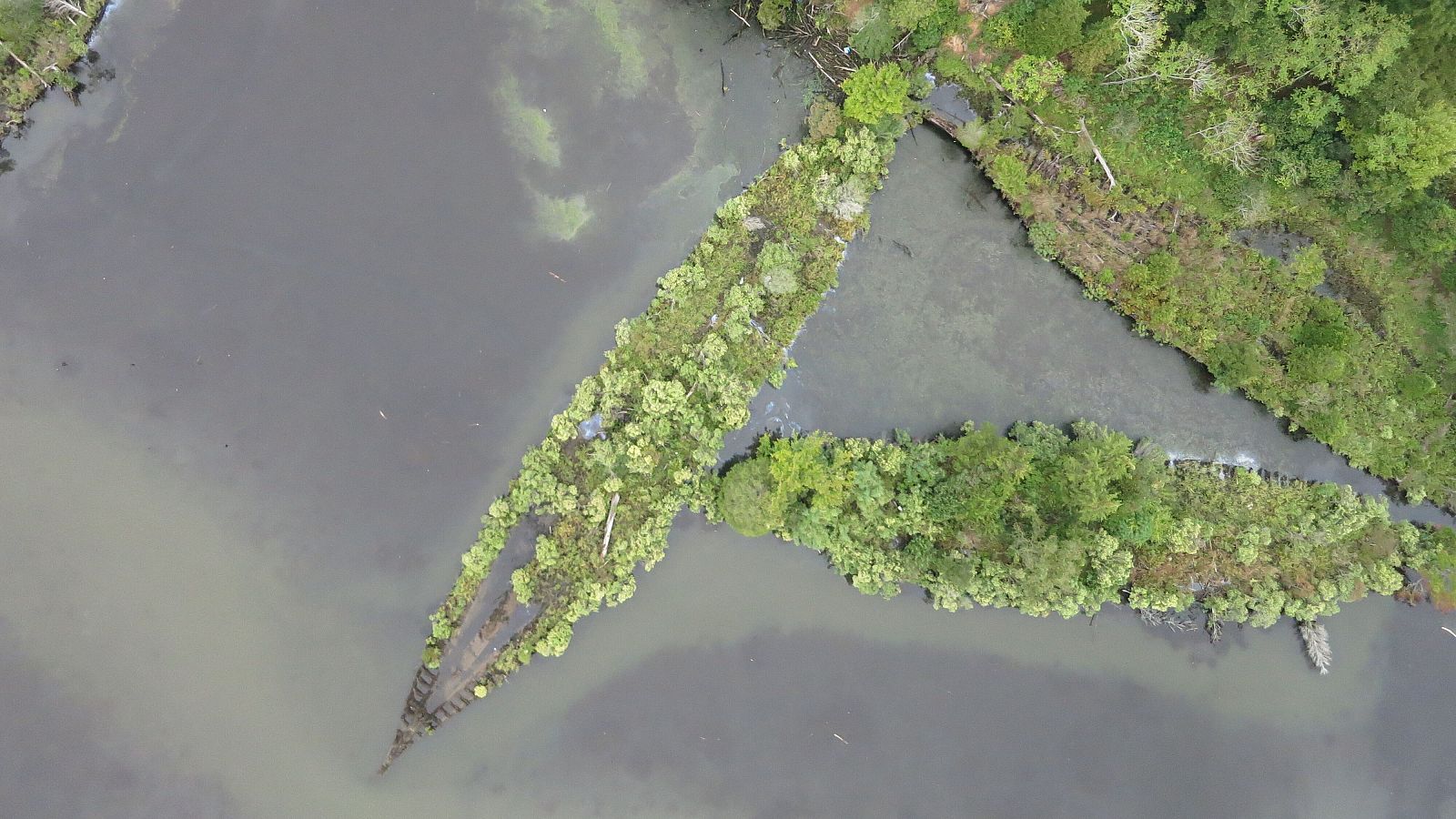 Barcos de la "flota fantasma" de Mallows Bay convertidos en islas y refugio de biodiversidad