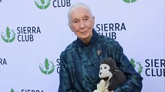 Muere la primatóloga y activista Jane Goodall a los 91 años