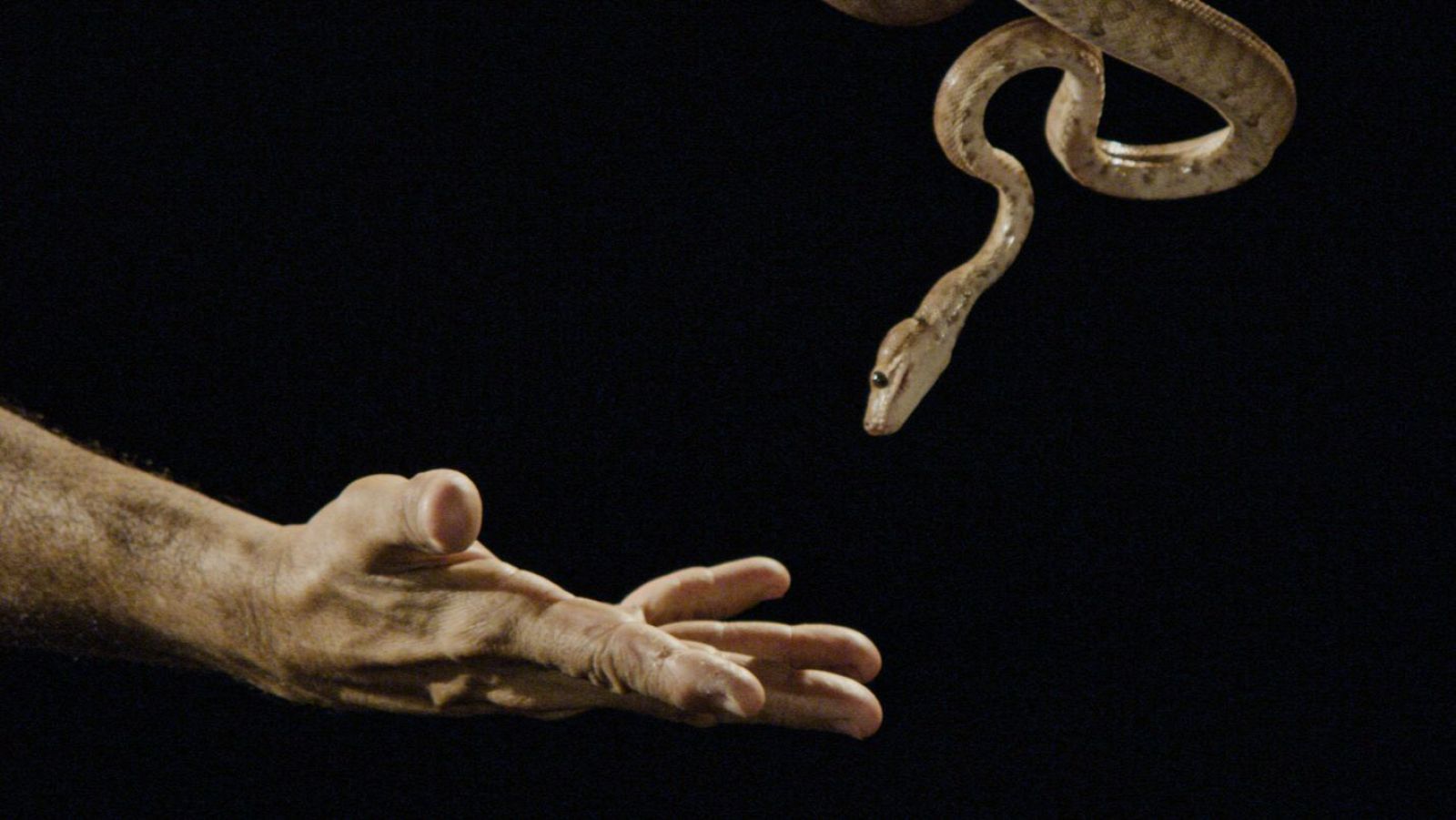 El cine activista de ensueño de Jonathas de Andrade, en Metrópolis