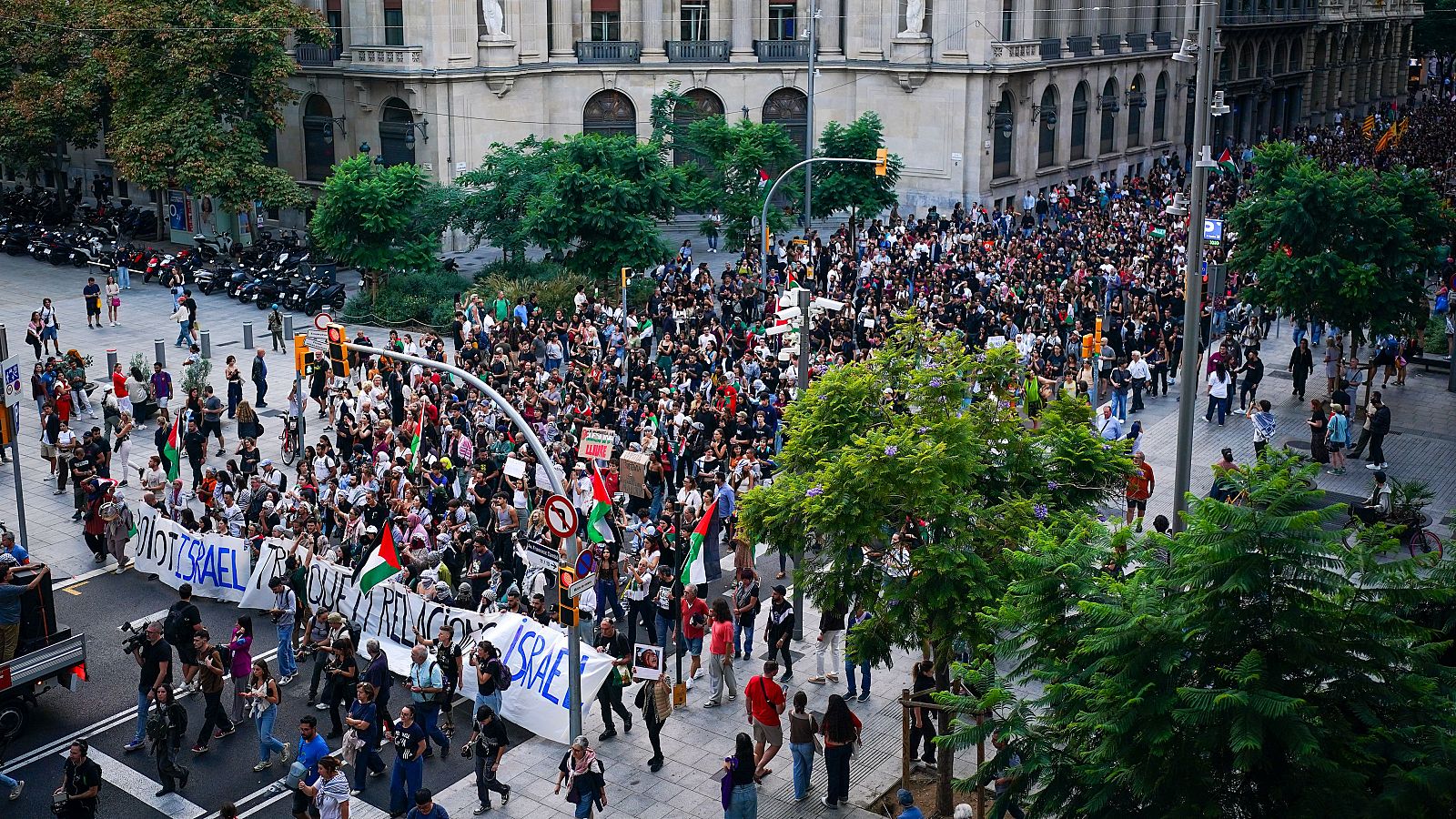 Manifestació a favor de Palestina a la Via Laietana de Barcelona | ACN