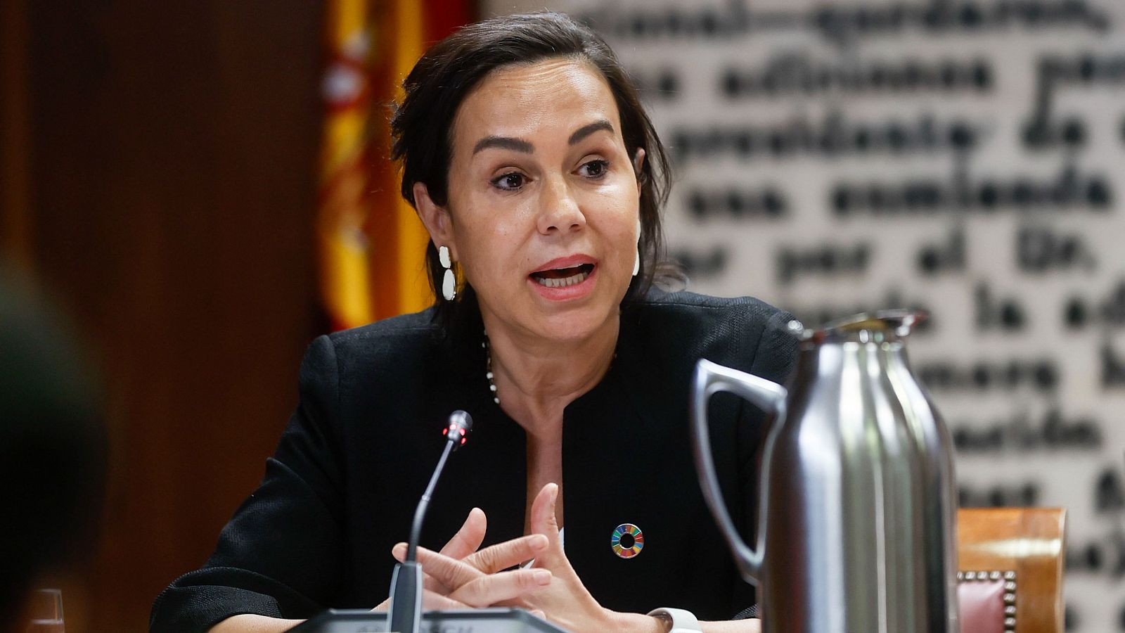 Isabel Pardo de Vera, expresidenta de Adif, en la comisión de investigación del caso Koldo