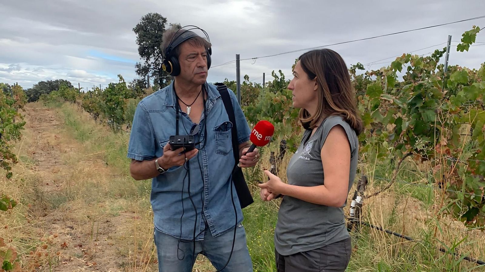 Juan Ballesteros, con auriculares y micrófono, entrevista a una mujer en un viñedo durante la vendimia. La mujer, de pie, escucha la entrevista mientras el fondo muestra hileras de vides.