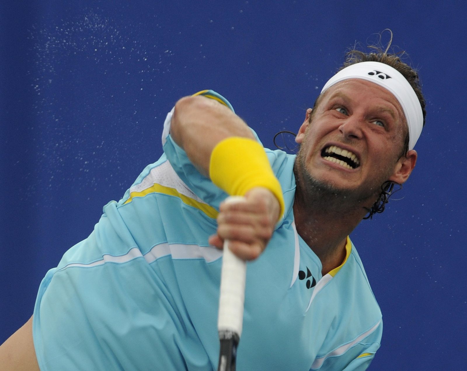 David Nalbandian