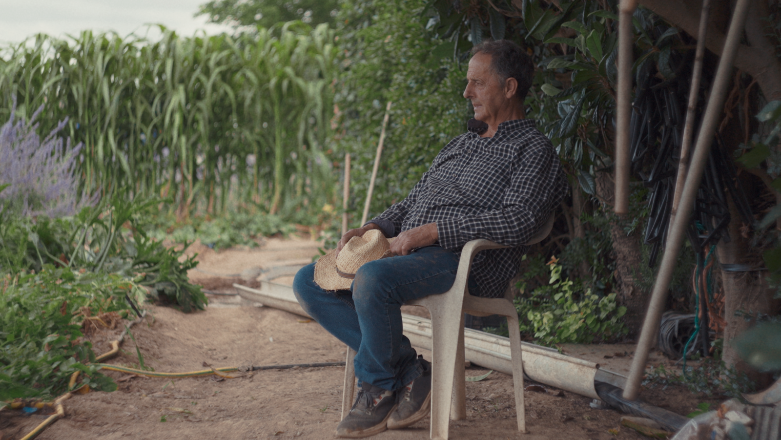 Inhumaciones tempranas en Navarra