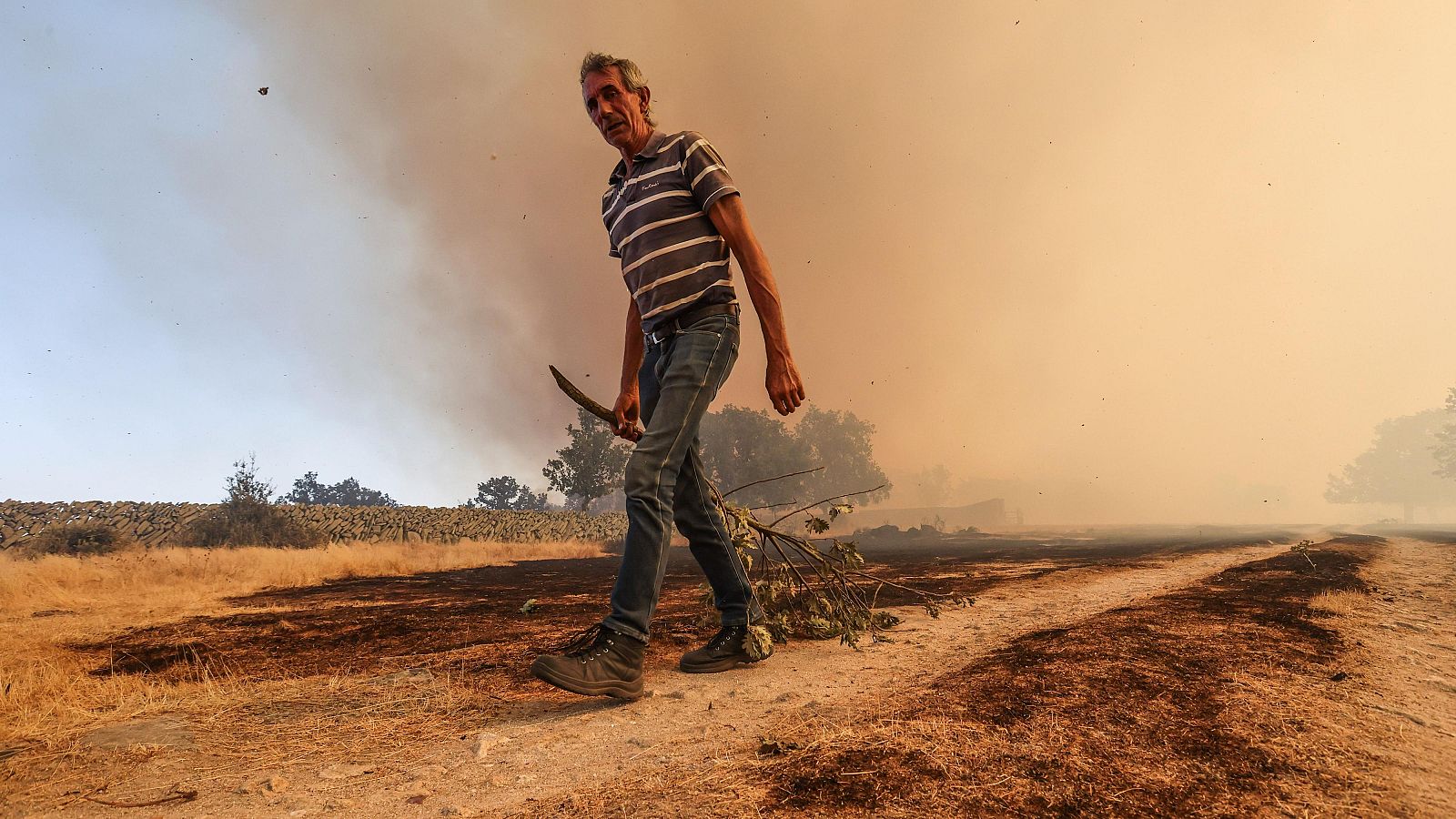 El Gobierno pagará antes del fin de año entre 1.500 y 16.000 euros a agricultores y ganaderos con daños por los incendios