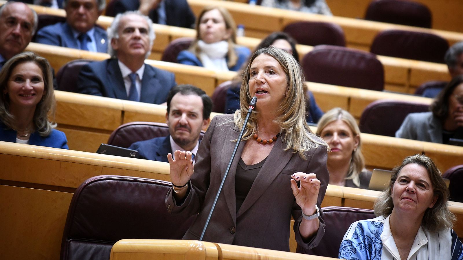La portavoz del PP en el Senado, Alicia García, interviene durante una sesión de control al Gobierno en la Cámara Alta.