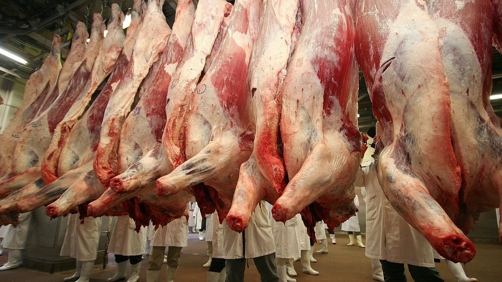 Es mantenen els preus de la carn de vaca