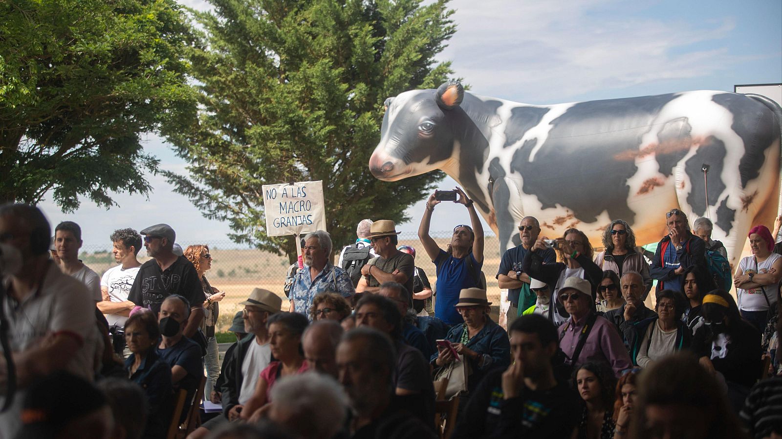 Ganaderos y ecologistas celebran que el Supremo tumbe el proyecto de la mayor macrogranja de Europa en Noviercas