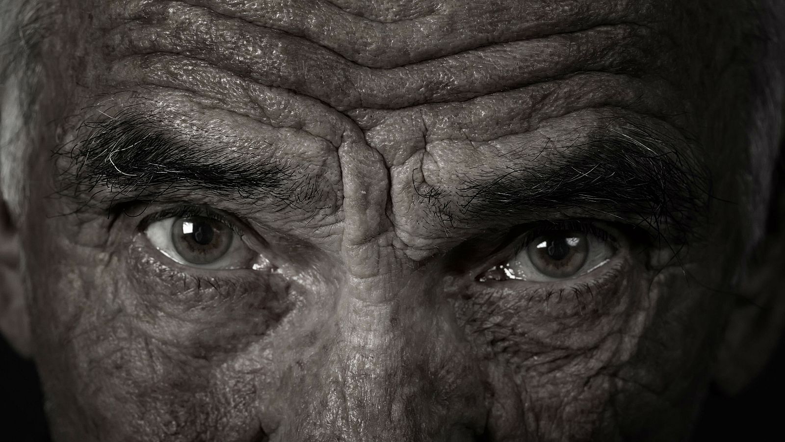 'Memoria de delfín' con la inmortalidad