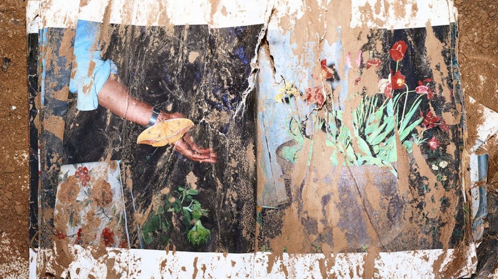 Imagen de 'Catálogo' (Ricardo Cases)