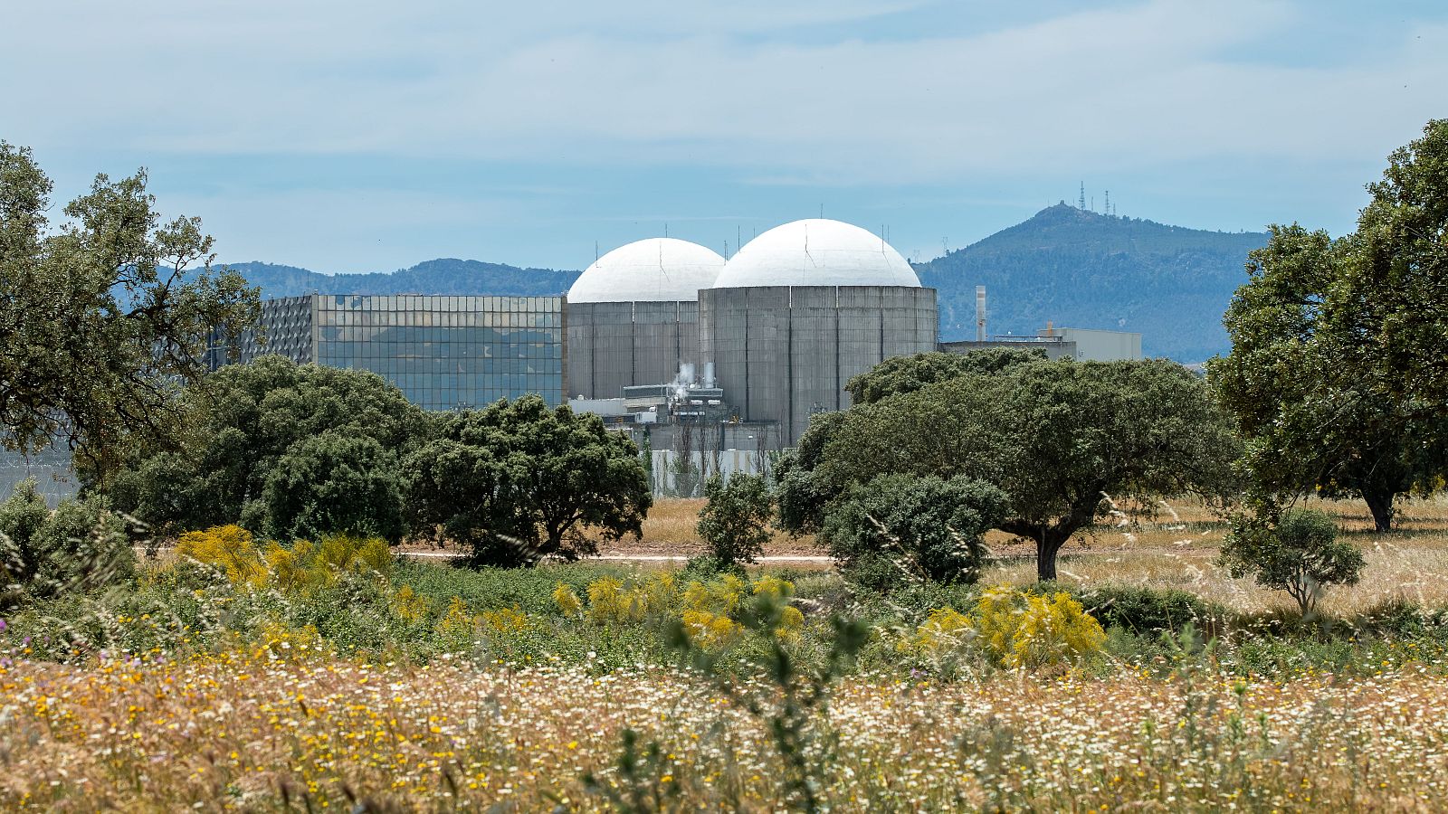 Iberdrola, Endesa y Naturgy acuerdan presentar al Gobierno extender la vida de la central nuclear de Almaraz hasta 2030