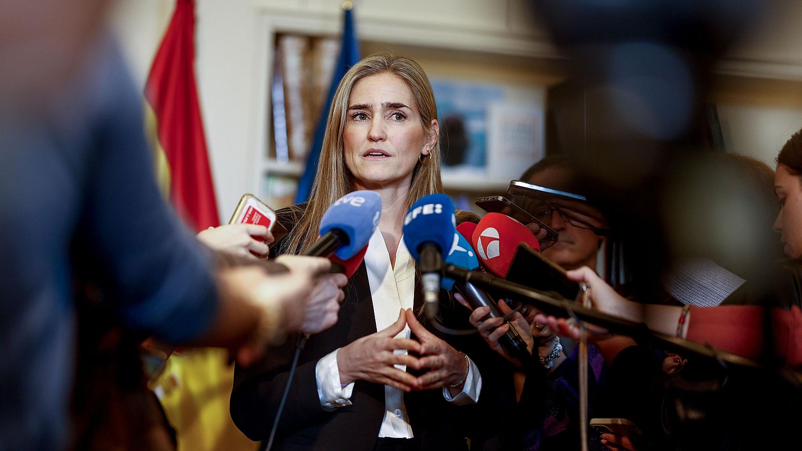 Aagesen asegura que las eléctricas "renuncian a la rebaja fiscal" y piden a ampliar la vida de Almaraz "sin condiciones"