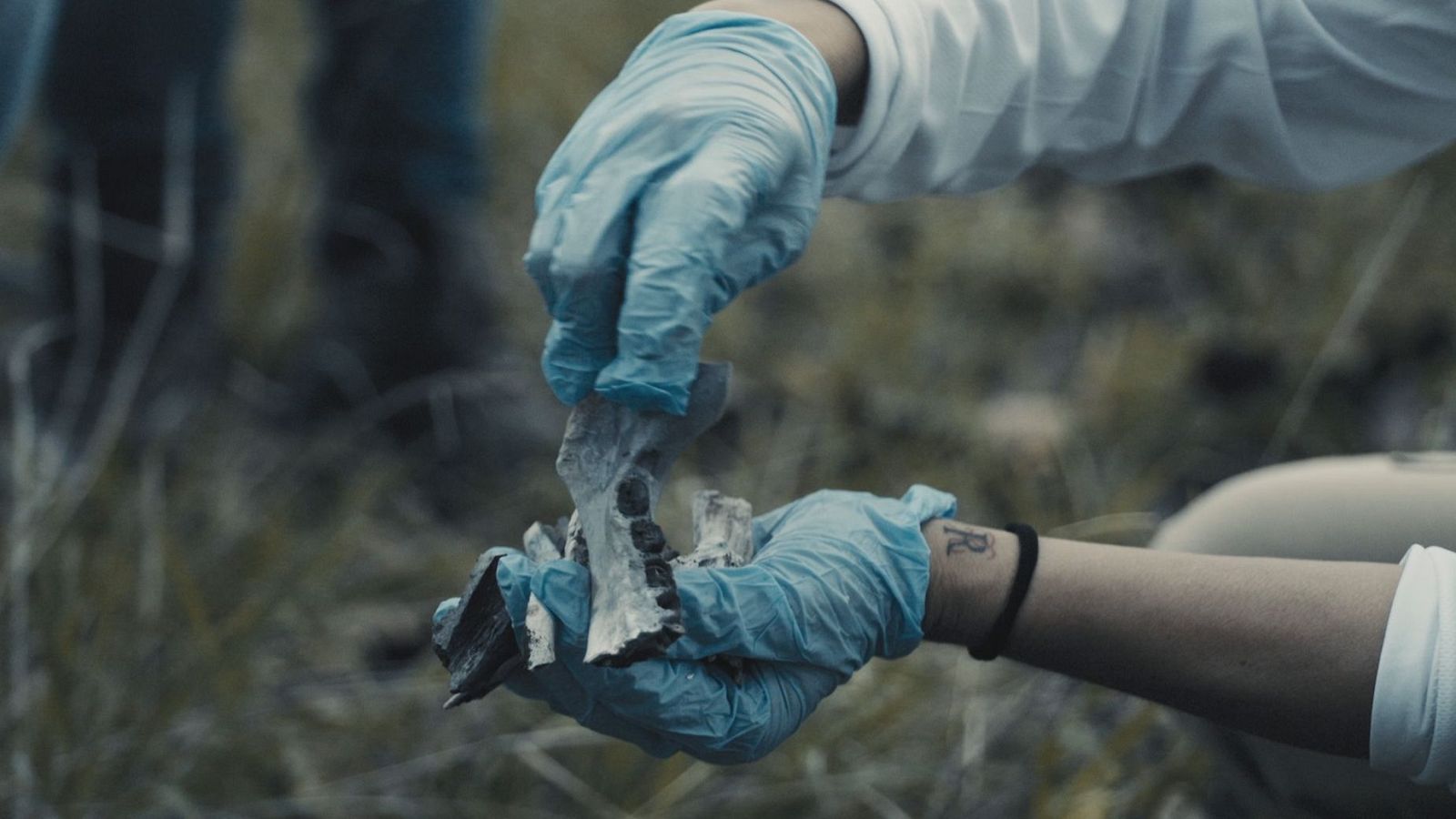 Víctimas y verdugos cuentan las atrocidades que se cometían en esa “academia de sicarios”, incluidas prácticas caníbales.