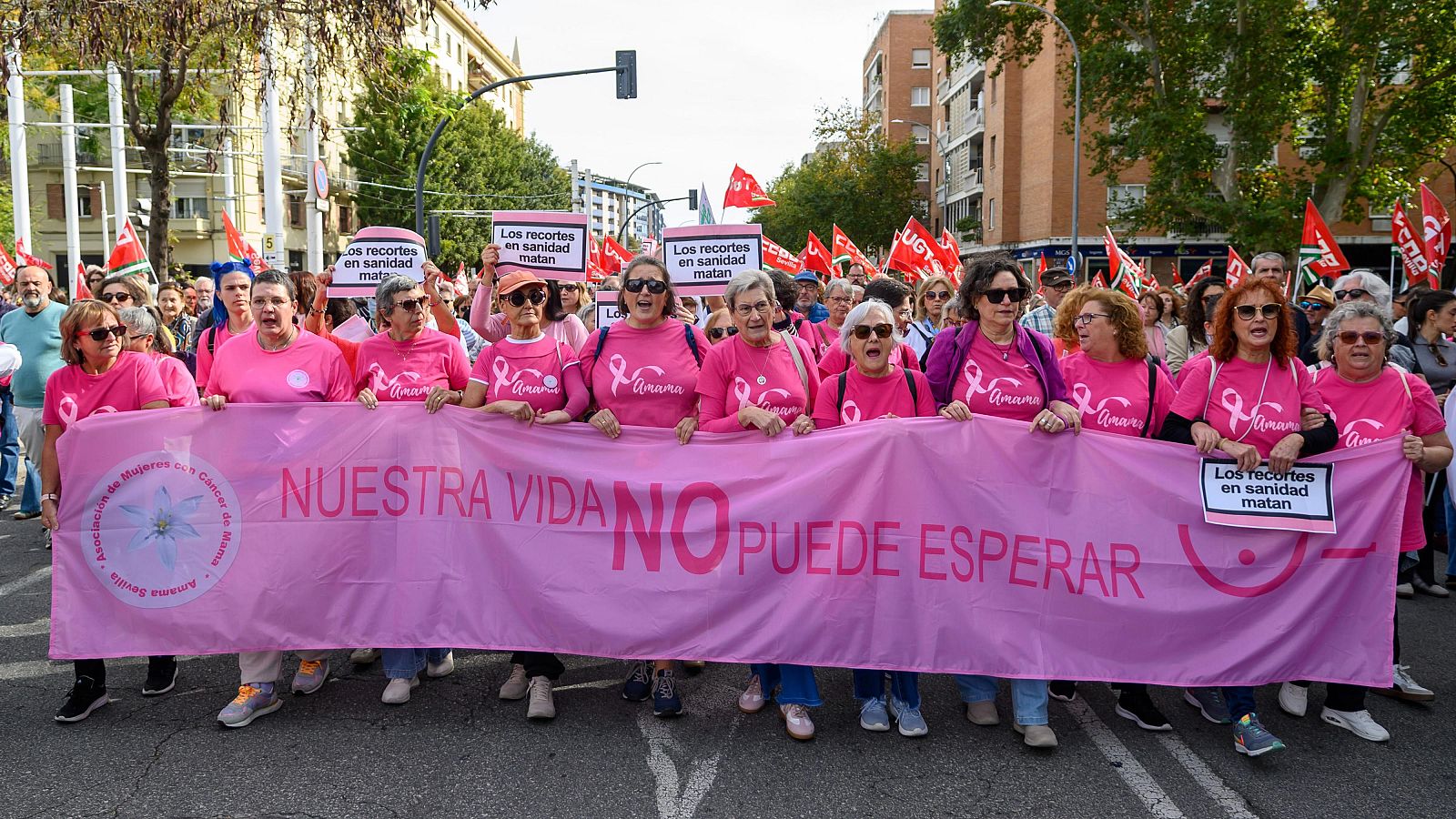 Miembros de Amama participan en la la manifestación por la sanidad celebrada este domingo en Sevilla