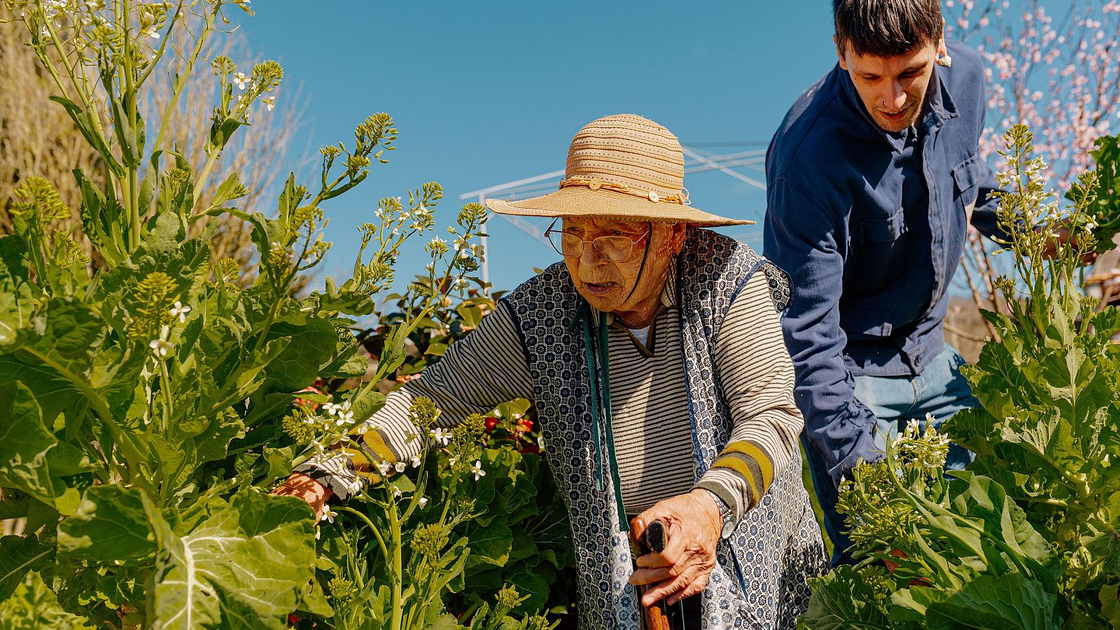 Buenas noticias de la semana del 10 al 16 de noviembre: los españoles viven más