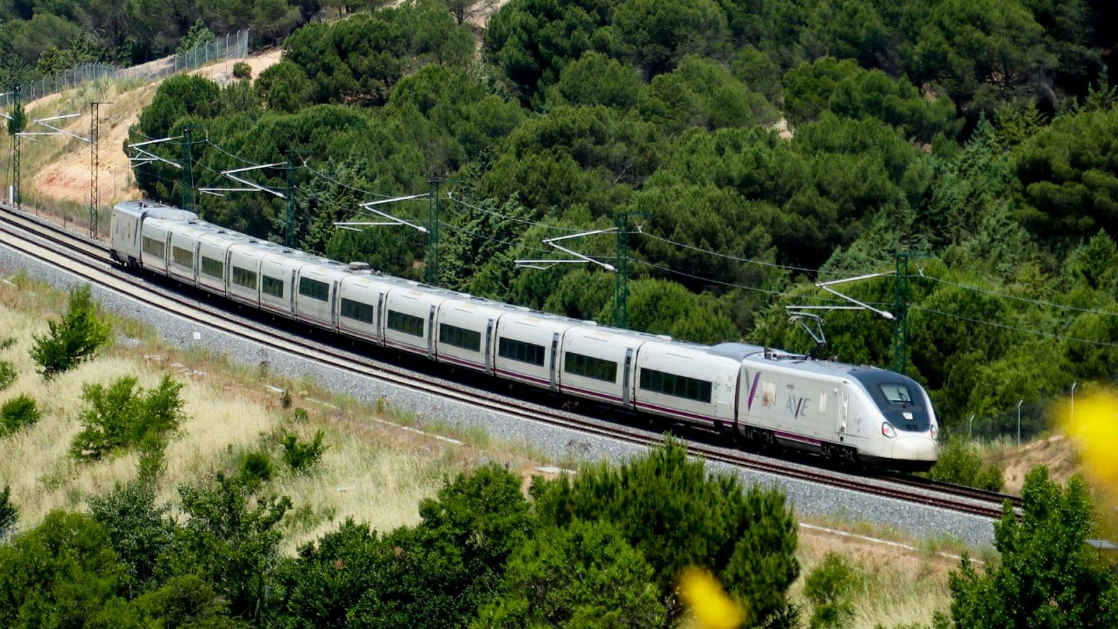 Puente anuncia un plan para reducir el AVE entre Madrid y Barcelona a menos de dos horas con trenes a 350 km/h