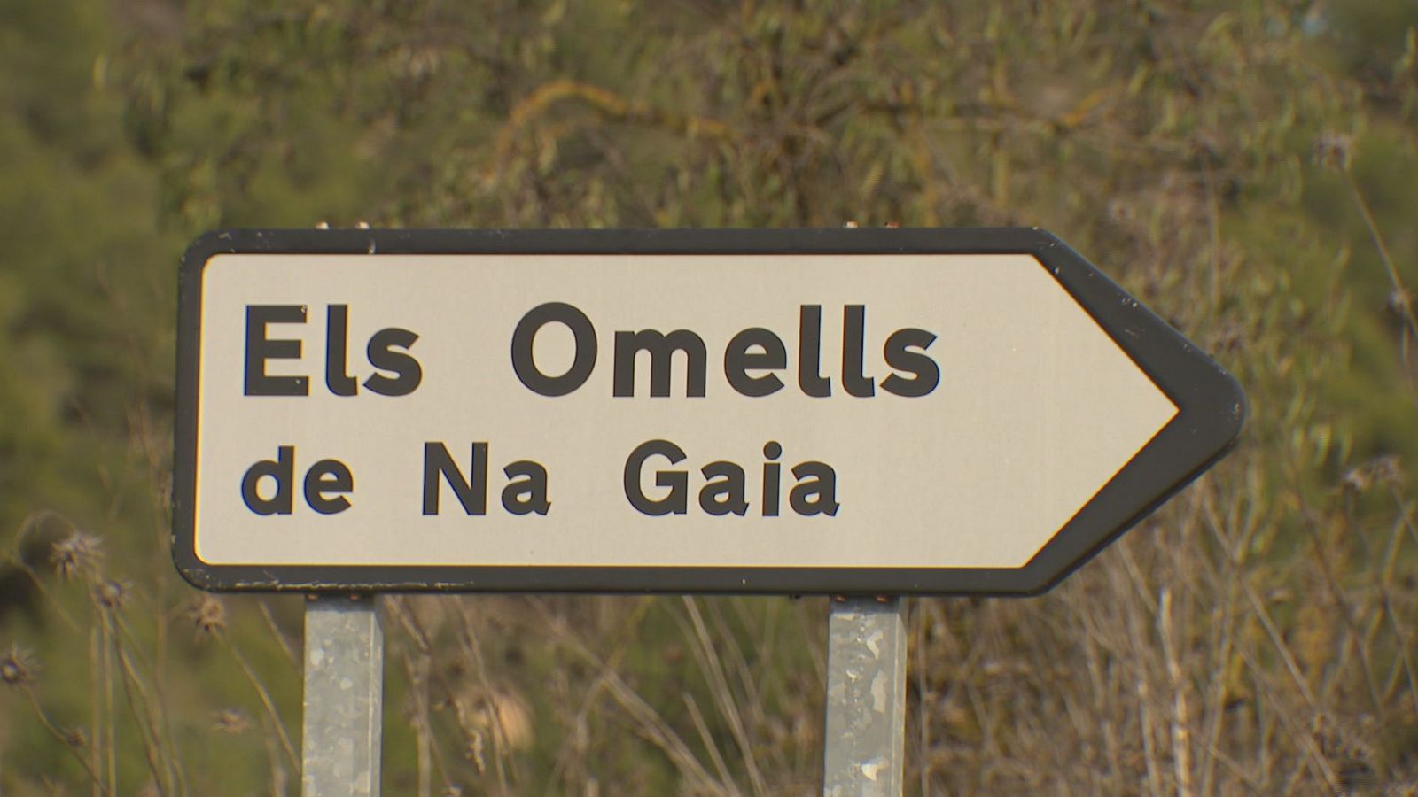 Els Omells de Na Gaia