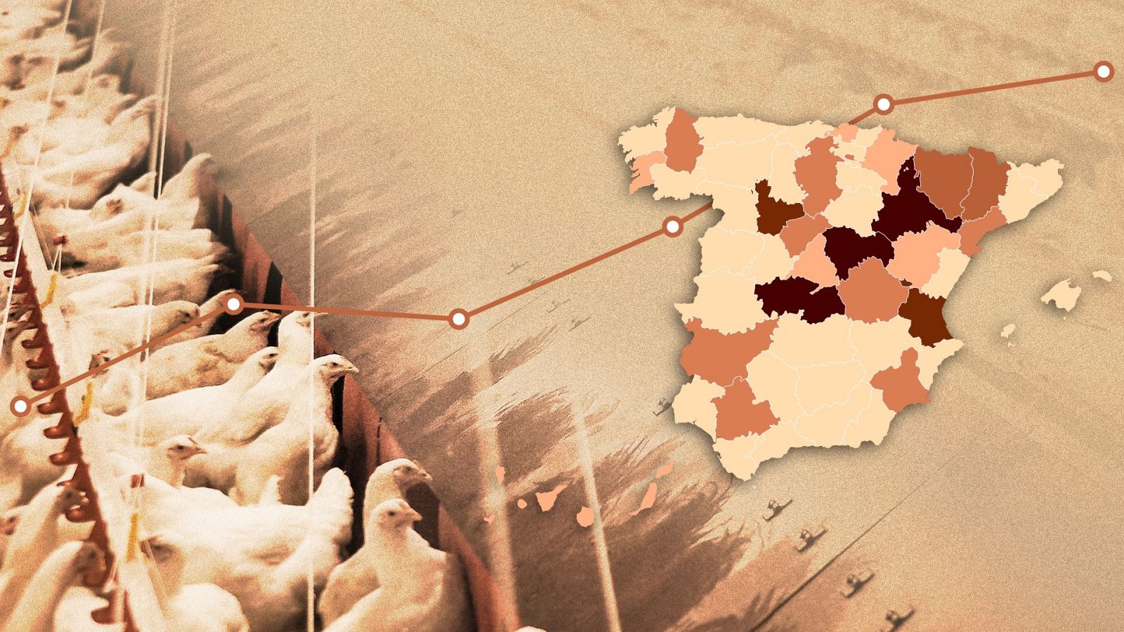 Granja de gallinas con un mapa de España