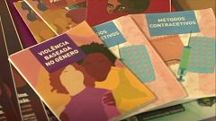 25N: "Aprendamos de España: se dice violencia machista"