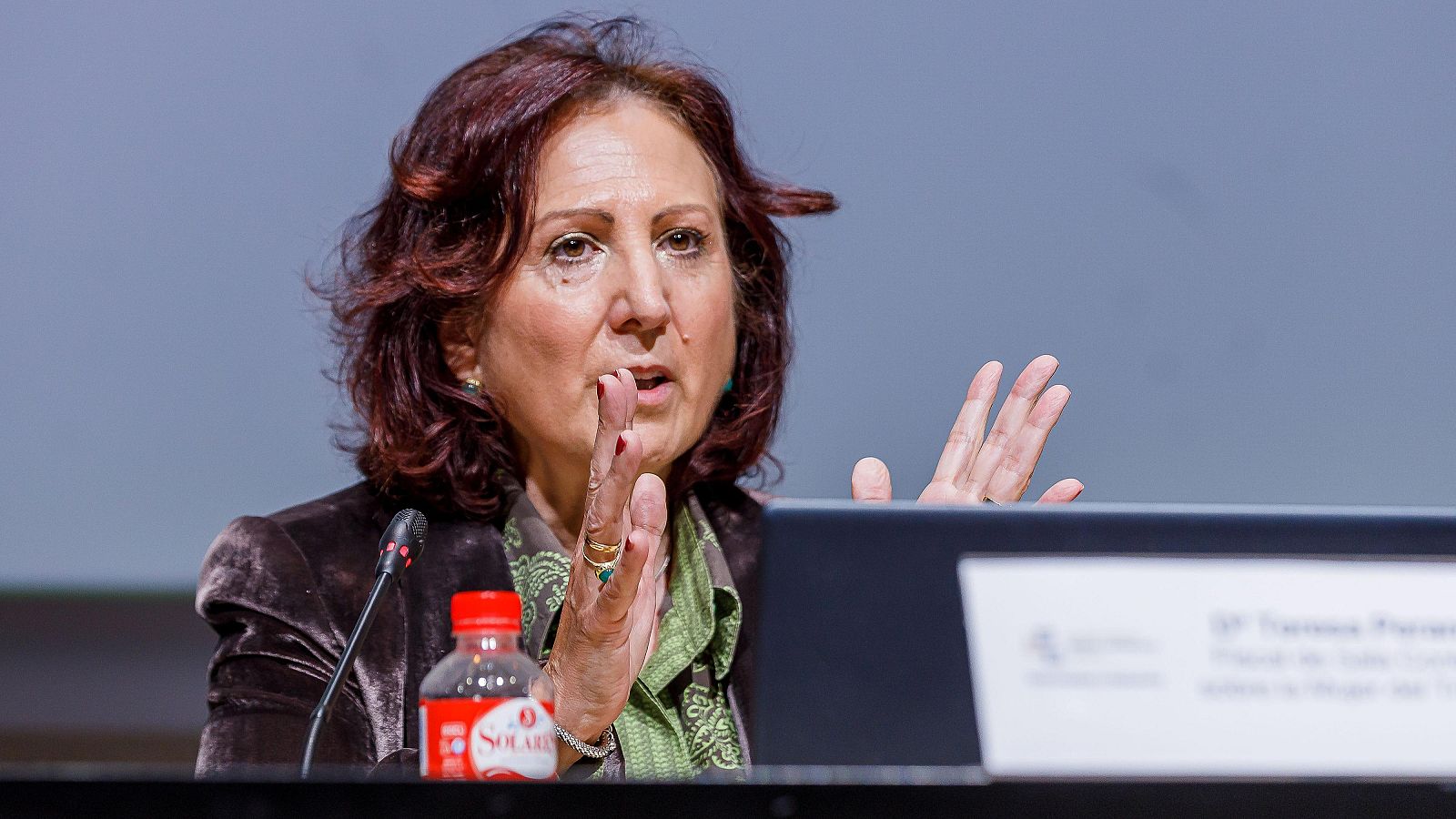 La fiscal de Sala de Violencia sobre la Mujer, Teresa Peramato en las IV Jornadas de Derecho de Familia