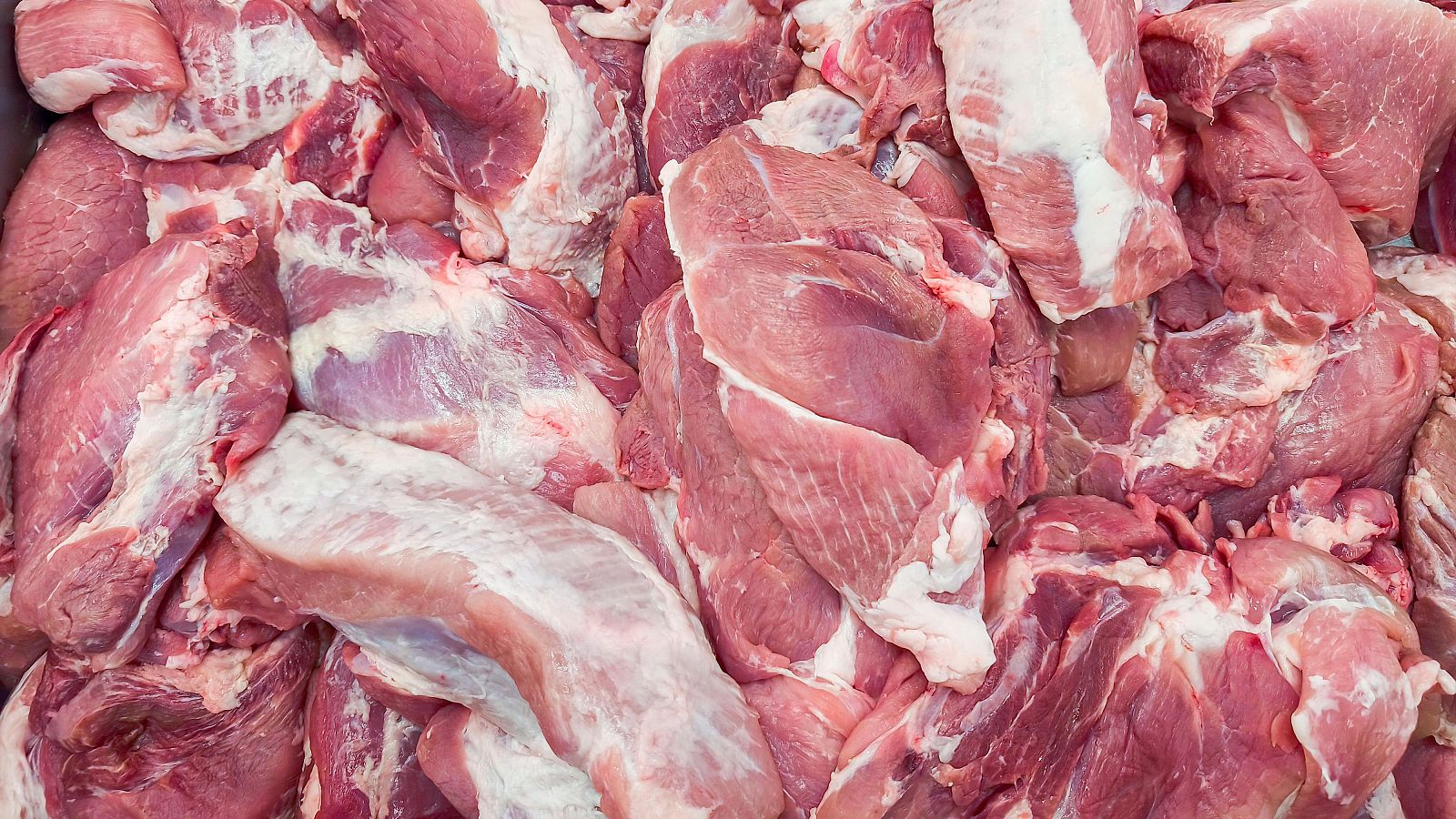 España encara una etapa de incertidumbre en su comercio porcino: se bloquean 121 certificados a unos 40 países